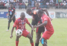 SWALLOWS OUT FOR BUCCANEERS BLOOD IN Y’ELLO SUNDAY SHOWDOWN